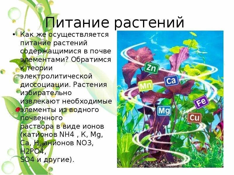 Минеральное питание растений тест по биологии 6. Питание растений. Минеральное питание растений удобрения. Питание растений удобрения 6 класс. Элементы минерального питания растений.