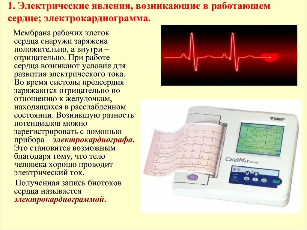 Электрические явления в сердце электрокардиография. Электрические явления в сердечной мышце. Электрические явления в сердце ЭКГ. Электрические явления сердца кратко. В каких условиях необходимо проводить исследование экг