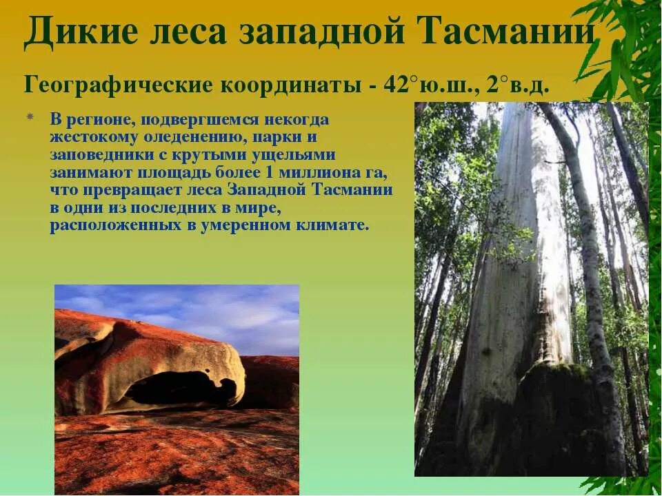 Тасмания координаты широта. Тасмания координаты. остров тасмания координаты. национальные парки австралии презентация. географ координаты тасмании.