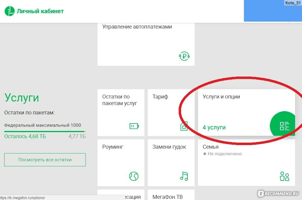 Почему не было мегафона. Мобильные платежи МЕГАФОН что это. Подключить мобильные платежи МЕГАФОН. Отключить мобильные платежи МЕГАФОН. Смартфон МЕГАФОН личный кабинет.