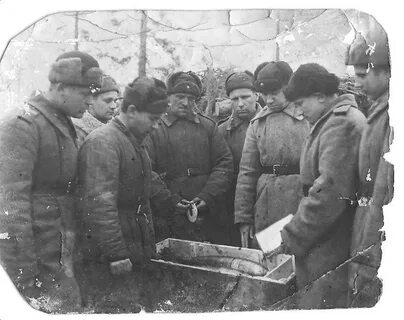 Поиск полка вов