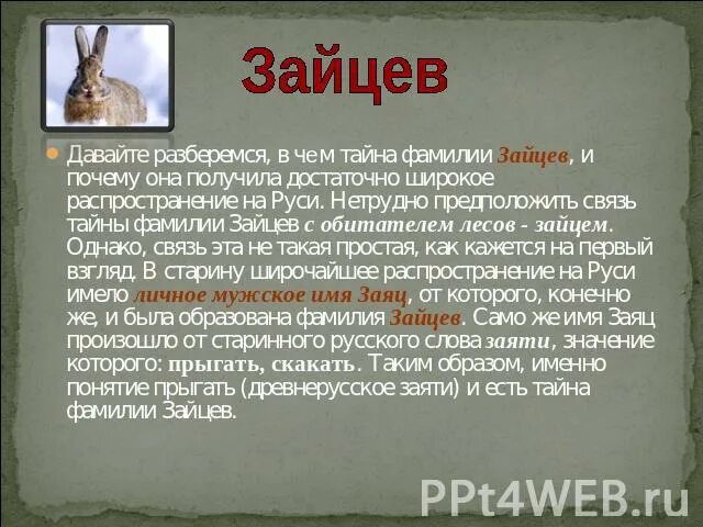 Рассказ о фамилии. Фамилия Зайцев. Происхождение фамилии Зайцева. Проект тайна фамилии. Рассказ про зайцева