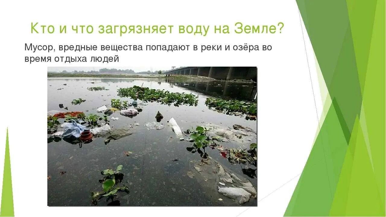 Правила загрязнения воды. Загрязнение воды. Кто загрязняет воду. От чего загрязняется вода. Загрязнение земли и воды.