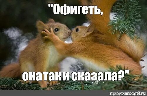 Love is. Любовь это красиво я читала. Офигеть как она течет это любовь. Офигеть мем. Кот обалдел.