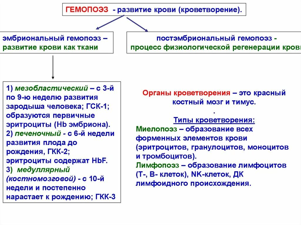 Стадии развития крови. Основные этапы эмбрионального кроветворения таблица. Гемопоэз таблица гистология. Периоды эмбрионального гемопоэза таблица. Миелопоэза клетки гистология.