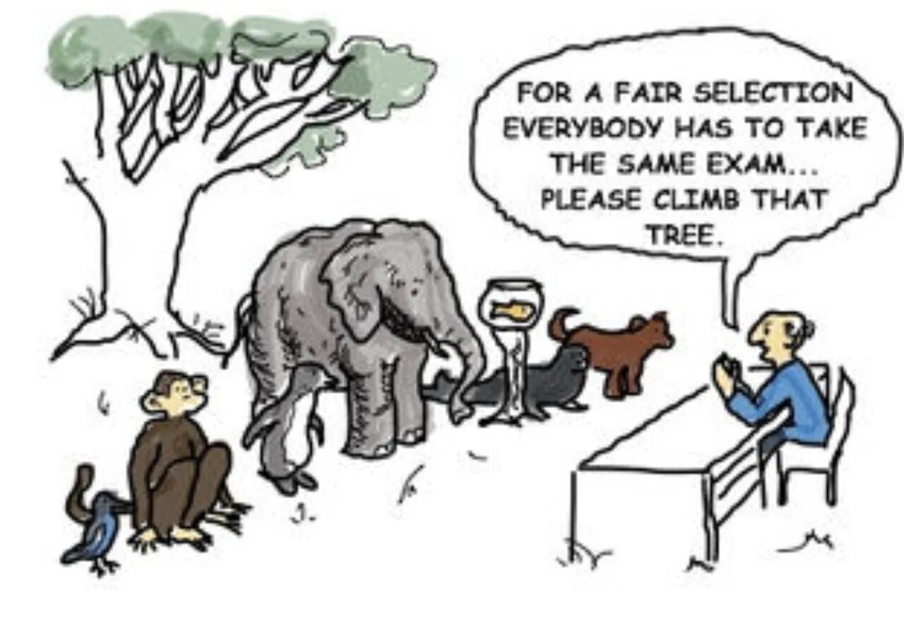 Everybody is having a great time. Карикатура for the Fair selection Everybody has to take the same Exam. Fish Climb. Fish Climb Trees. Try to get a Fish to Climb.