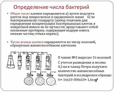 Количественный метод определения бактерий