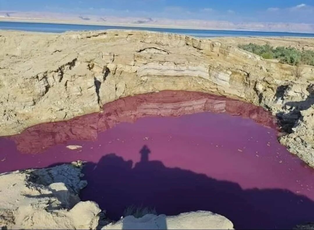 Мертвое озеро Иордания. Мертвое красное озеро. Озеро красного цвета. Кровавое озеро. Есть красное озеро