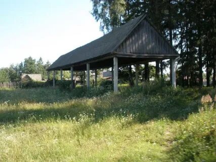 Малаховка лесопитомник 7