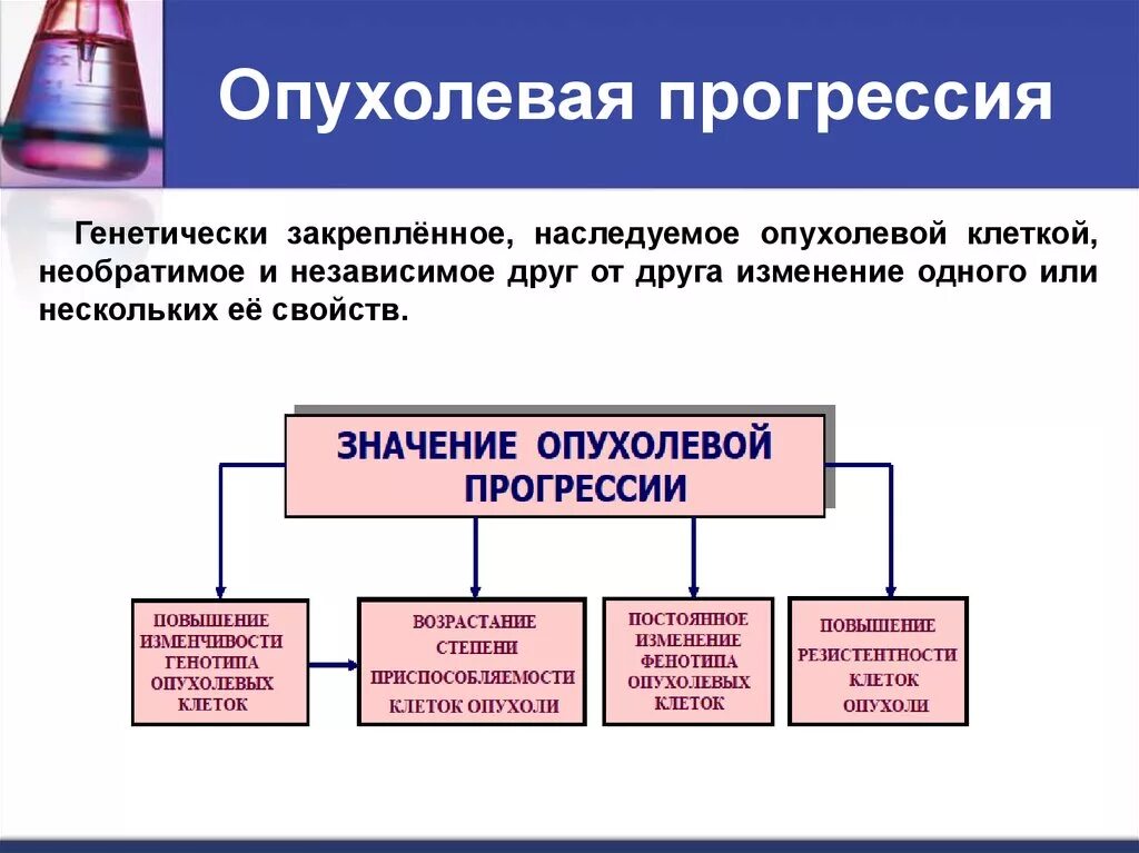 Опухолевая прогрессия. Понятие об опухолевой прогрессии. Стадии опухолевой прогрессии. Механизмы и проявления опухолевой прогрессии. Неопластический процесс что это означает