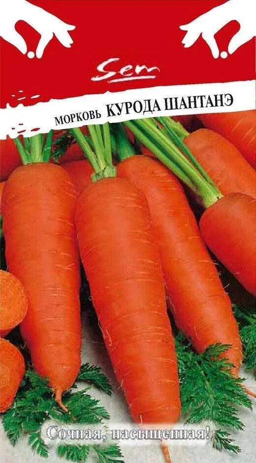 Как сохранить морковь зимой в погребе, квартире или подвале