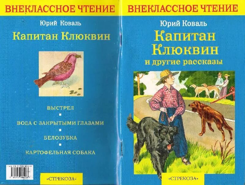 Ю коваль читательский дневник. Капитан Клюквин. Коваль Капитан Клюквин иллюстрации.