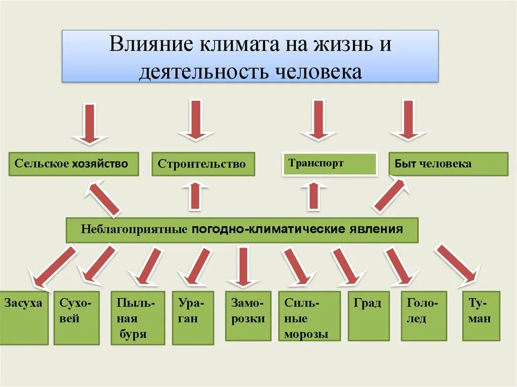 Тест хозяйственная деятельность людей. Влияние климата на хоз деятельность. Схема влияние климата на жизнь и деятельность людей. Влияние деятельности человека на климат. Влияние климатических условий на сельское хозяйство.