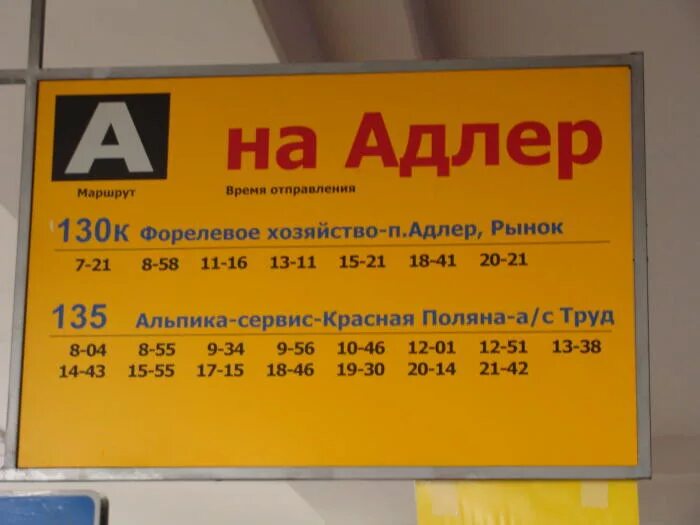 Жд вокзал адлер сколько до аэропорта. Автобусы до аэропортатадлер. Аэропорт Адлер автобусы. Автобусы Адлер вокзал Адлер аэропорт. Автобус аэропорт Сочи.