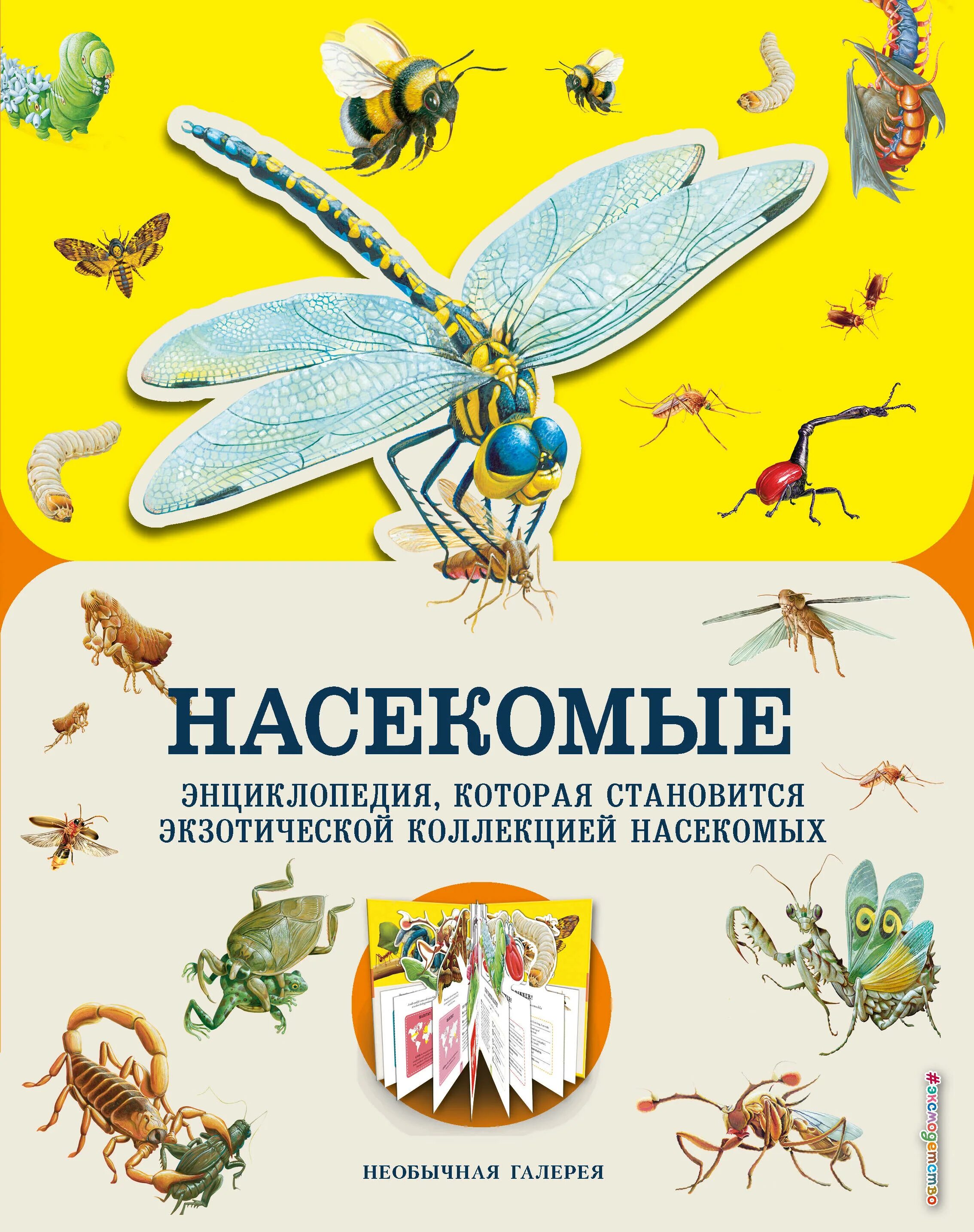 Большая книга о насекомых. Энциклопедия насекомые эксмо. Детская энциклопедия. Книга энциклопедия для детского сада росмэн насекомые. Насекомые.