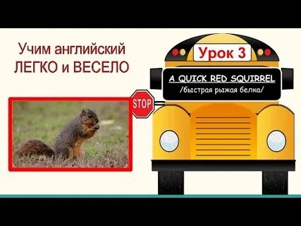 Как будет по английскому белка