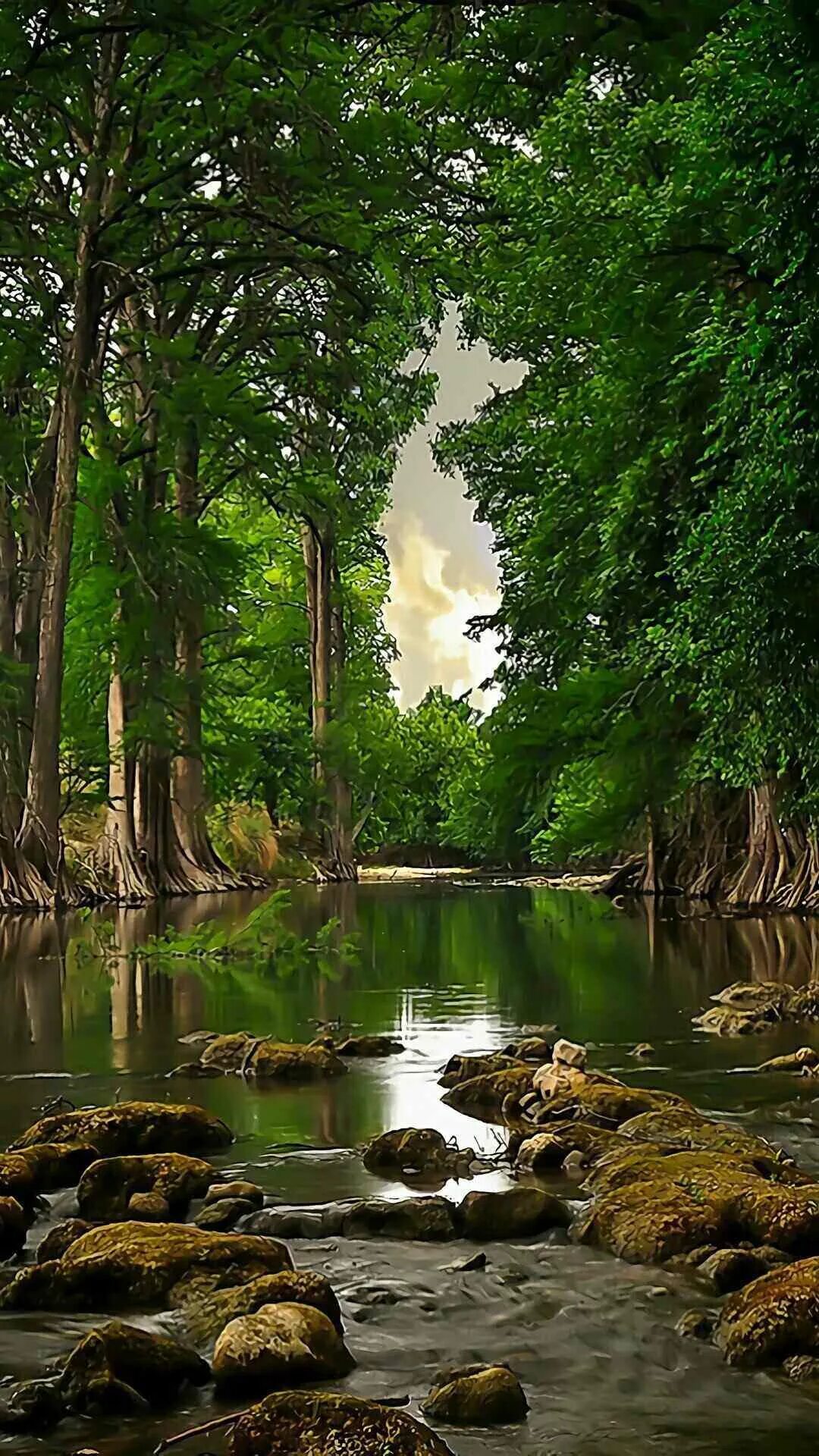 Природа. Красивая природа. Природа река. Красивый пейзаж. Заставка на телефон природа вертикально