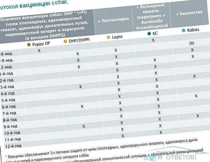 Сколько надо прививок собаке. График вакцинации собак до года Нобивак. Календарь прививок для собак Нобивак. Календарь вакцинации у собак Нобивак. Вакцинация собак график прививок Нобивак.