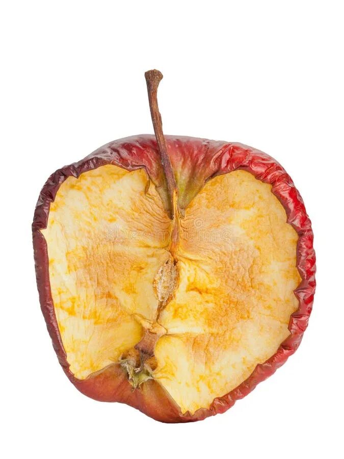 Old apple. Старое яблоко. гнилое красное яблоко. rotten apple.