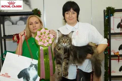 Мейнкурс