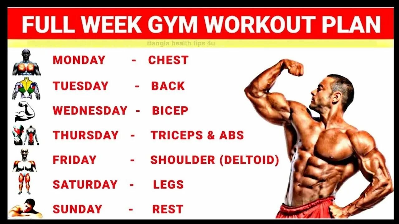 Gym Workout Plan for week. Программа тренировок Full body. Good Gym расписание. Bodybuilding Workout programs. Workout plan