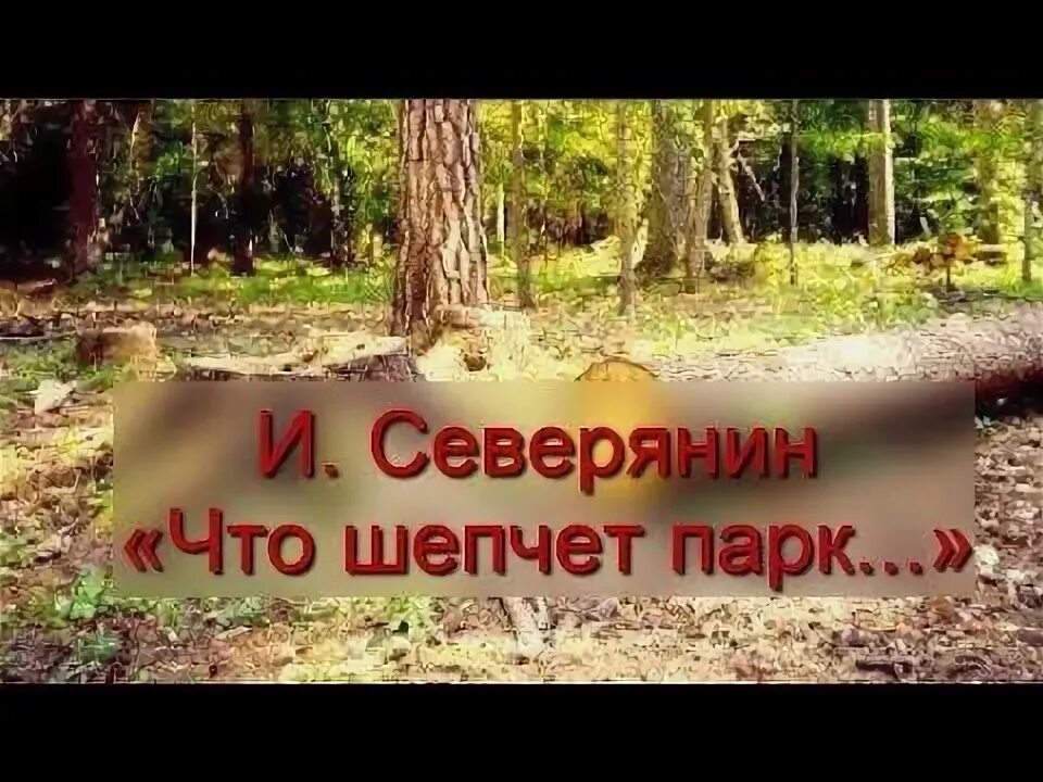 Северянин интродукция стих. Что шепчет парк северянин главные герои. Стих что шепчет парк. Что шепчет парк. Парк шепчет вскоре я не буду.