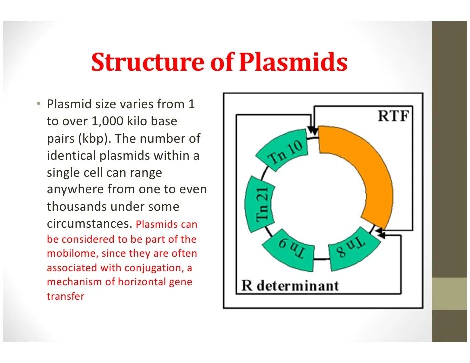 Очистка плазмид. Плазмида. Структура плазмид. R плазмида строение. R-плазмиды строение.