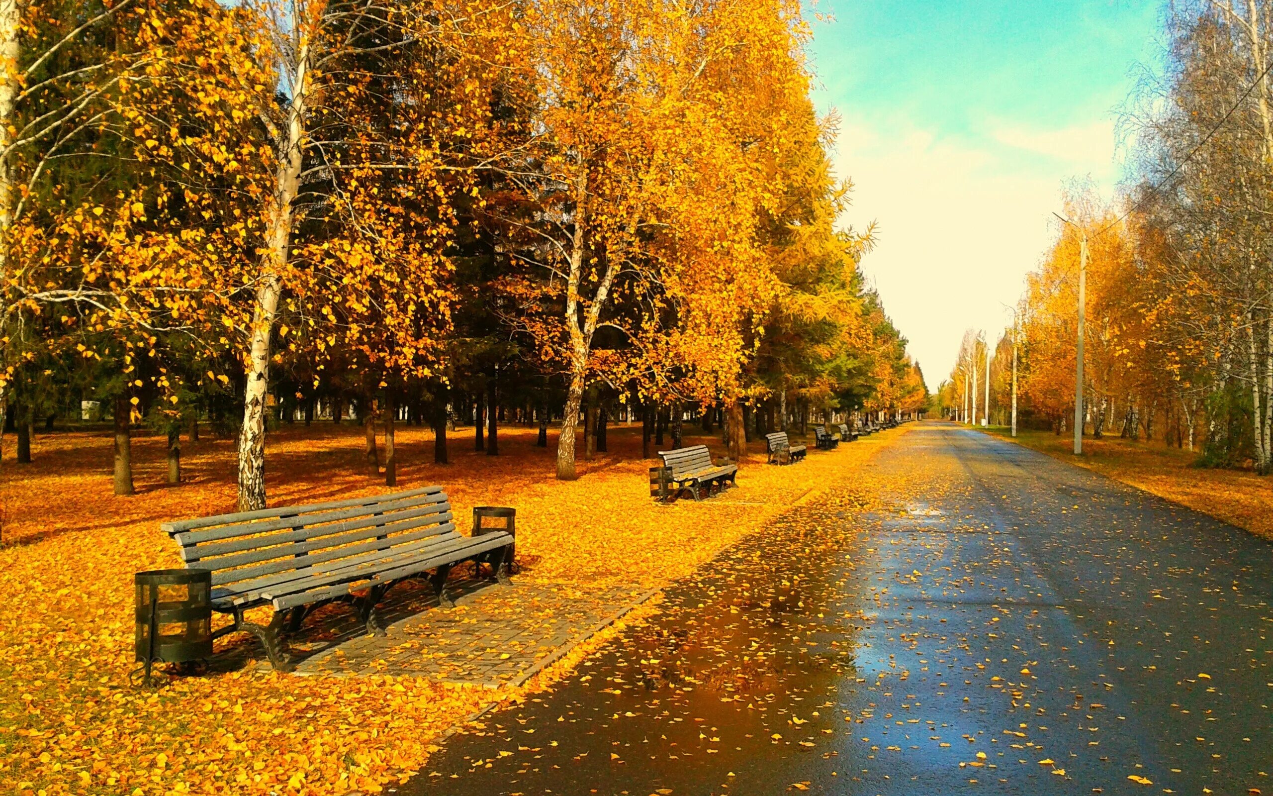 Куз 2. Осень в городе. Осенний город. Осень в городском парке. Золотая осень в парке.