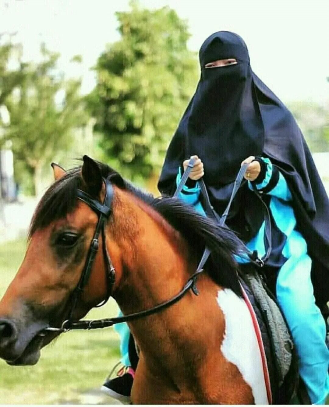 Мусульманские лошади. Мусульманка на лошади. Лошадь в хиджабе. Девушка в хиджабе на лошади. Девушка в никабе на лошади.