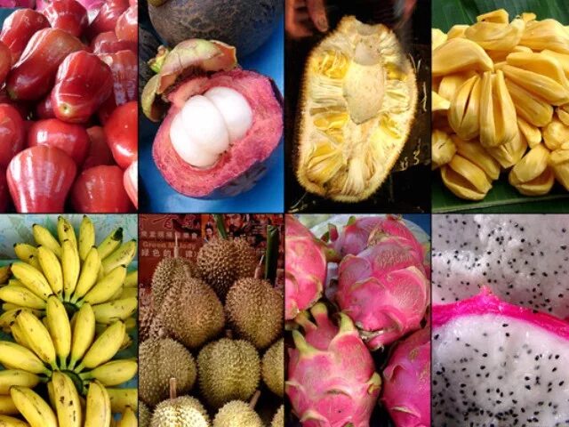 экспорт фруктов в тайланде. тележка с фруктами в тайланде. можно ли провозить фрукты из тайланда. вывоз из тайланда продуктов. корзина фруктов из вьетнама.