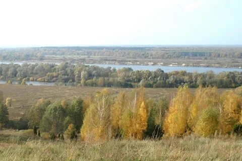 Нижегородский сельсовет