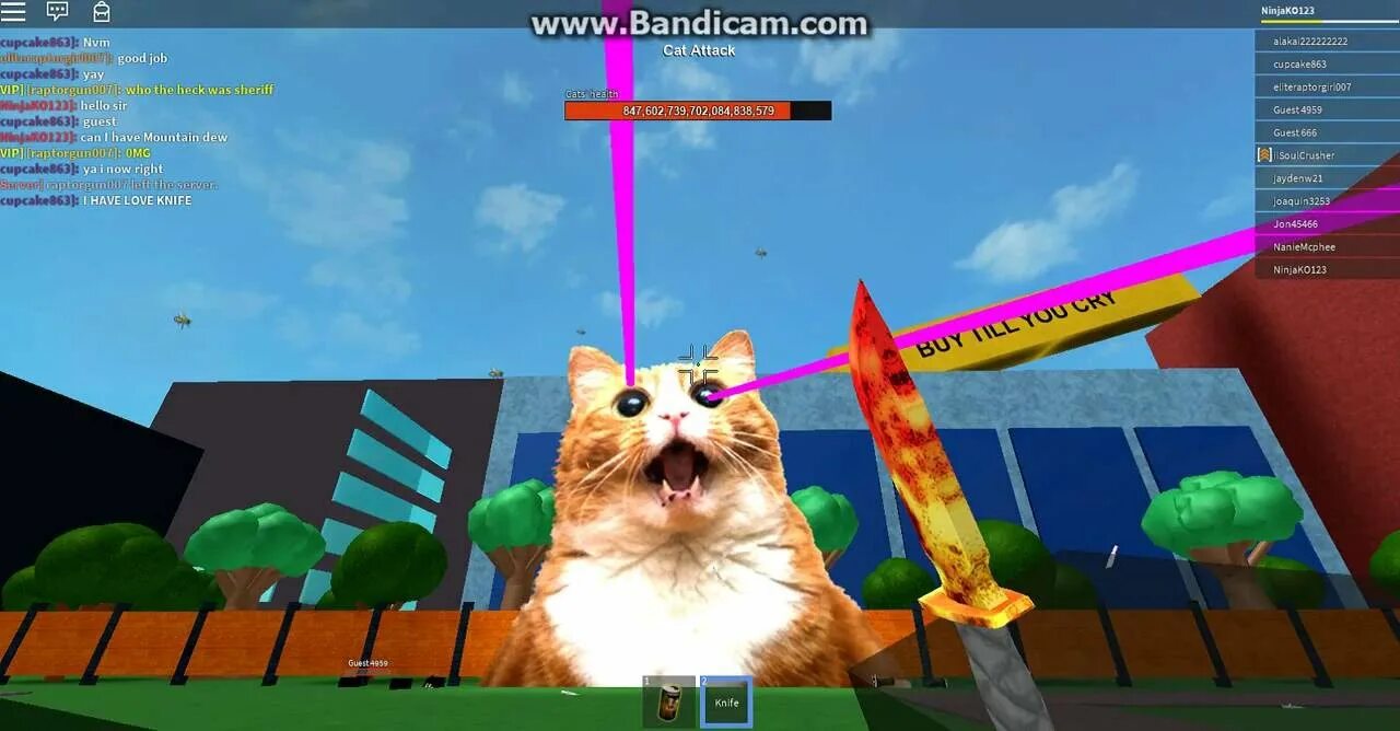 Cat Roblox игра. Huge Cat игра. Игра the Cat РОБЛОКС. Huge Cat big game Roblox.