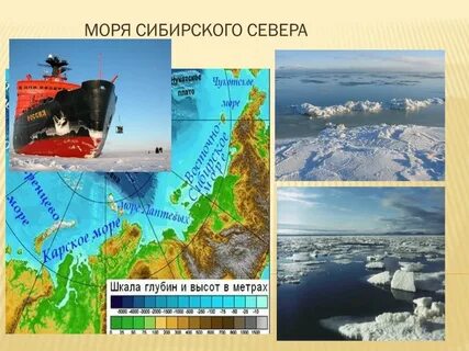 Западная сибирь море
