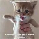 Допустим берем