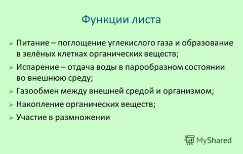 Функции листа