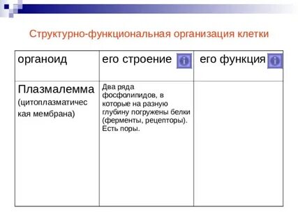 Структурно функциональная организация клетки