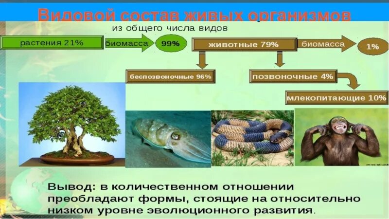 1 живые организмы на земле появились где. Живые организмы. Биосфера презентация. Биосфера это в биологии 9 класс. Биосфера презентация биология.