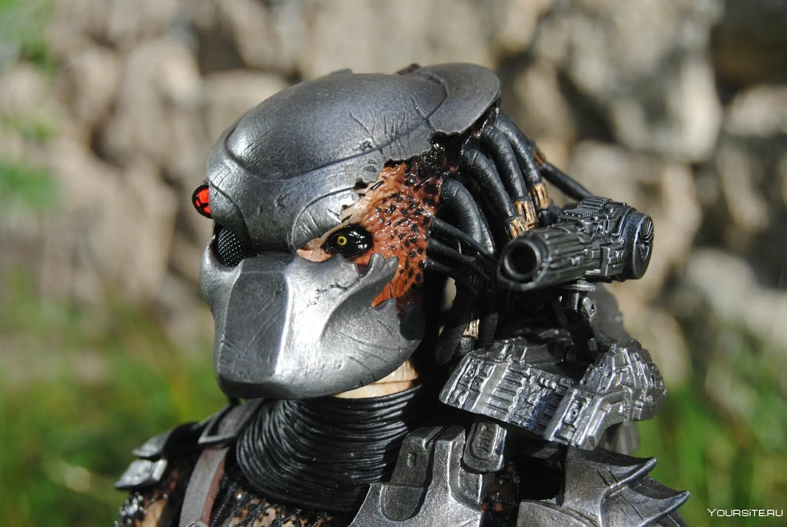 Aurora predator