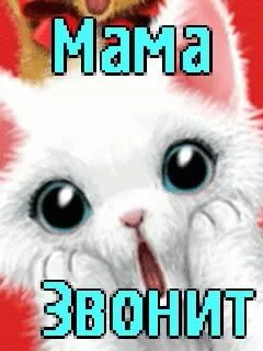 Фото на рингтон маме. Папа входящий вызов. Е мое мама звонит на звонок. Е мое мама звонит на звонок. Звонок ой мама звонит.