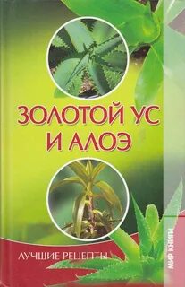 Алоэ золотой ус