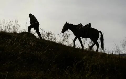 Вести под уздцы лошадь