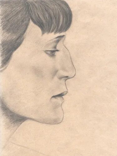 ахматова портрет. анна ахматова портрет. ахматова рисунок. анна ахматова вектор. верейский портрет ахматовой.