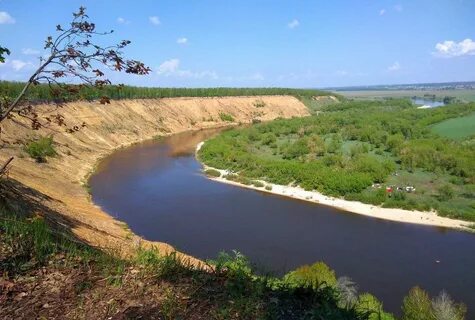 Возле дона