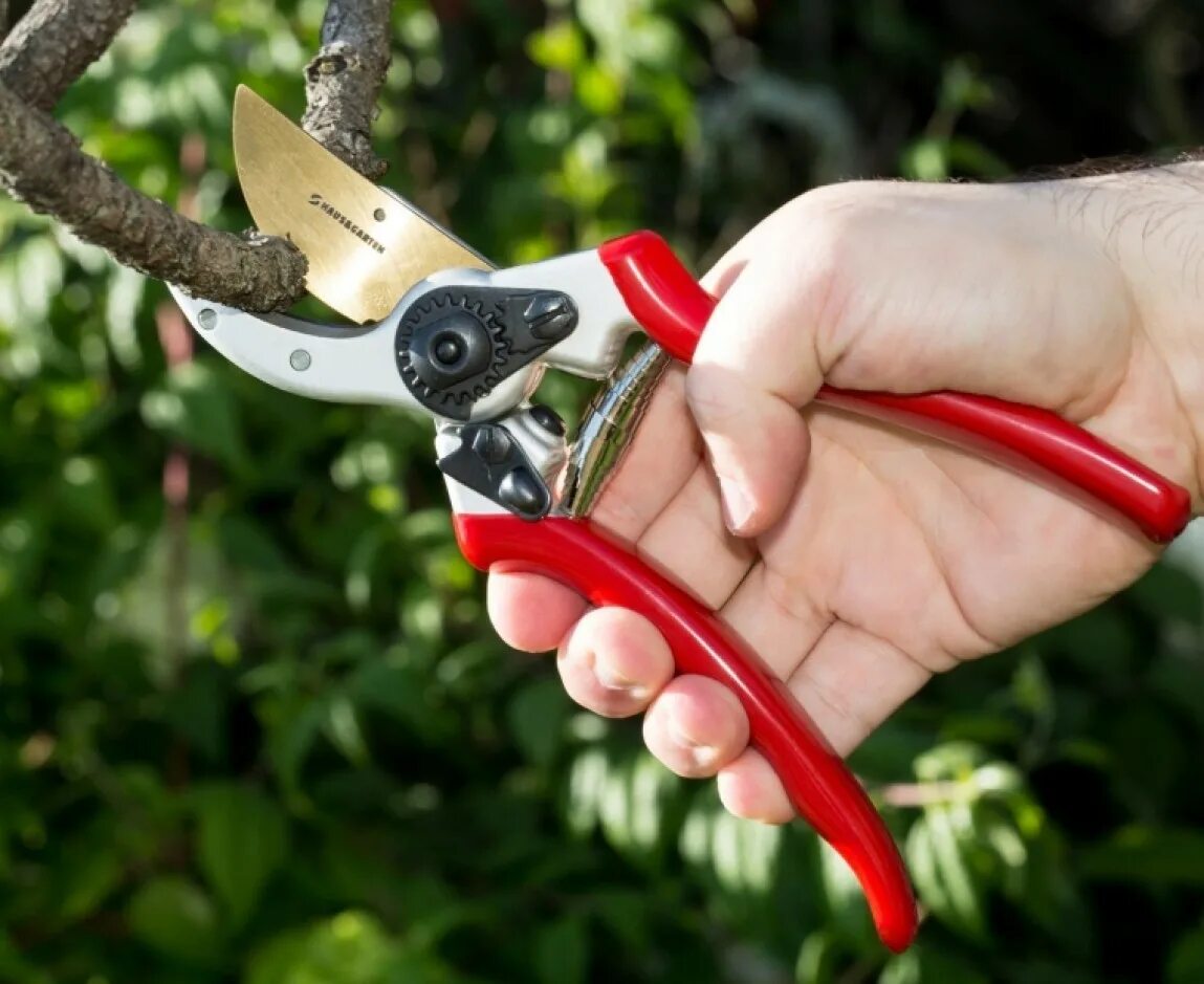 Как выбрать секатор садовый. Секатор садовый pruning shears 5037. секатор felco 31. секатор бцм 2031. секатор садовый pruning shears 5023.