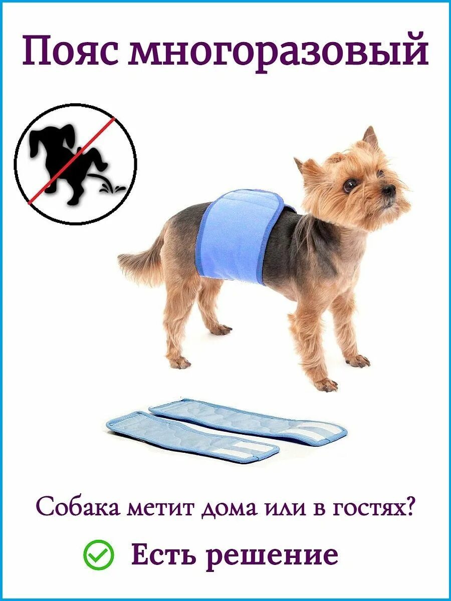 Пояс впитывающий для кобелей. Трусы пояс для кобелей. Пояс для кобелей оссо. Пояс для собак кобелей многоразовый. Пояс впитывающий для кобелей.