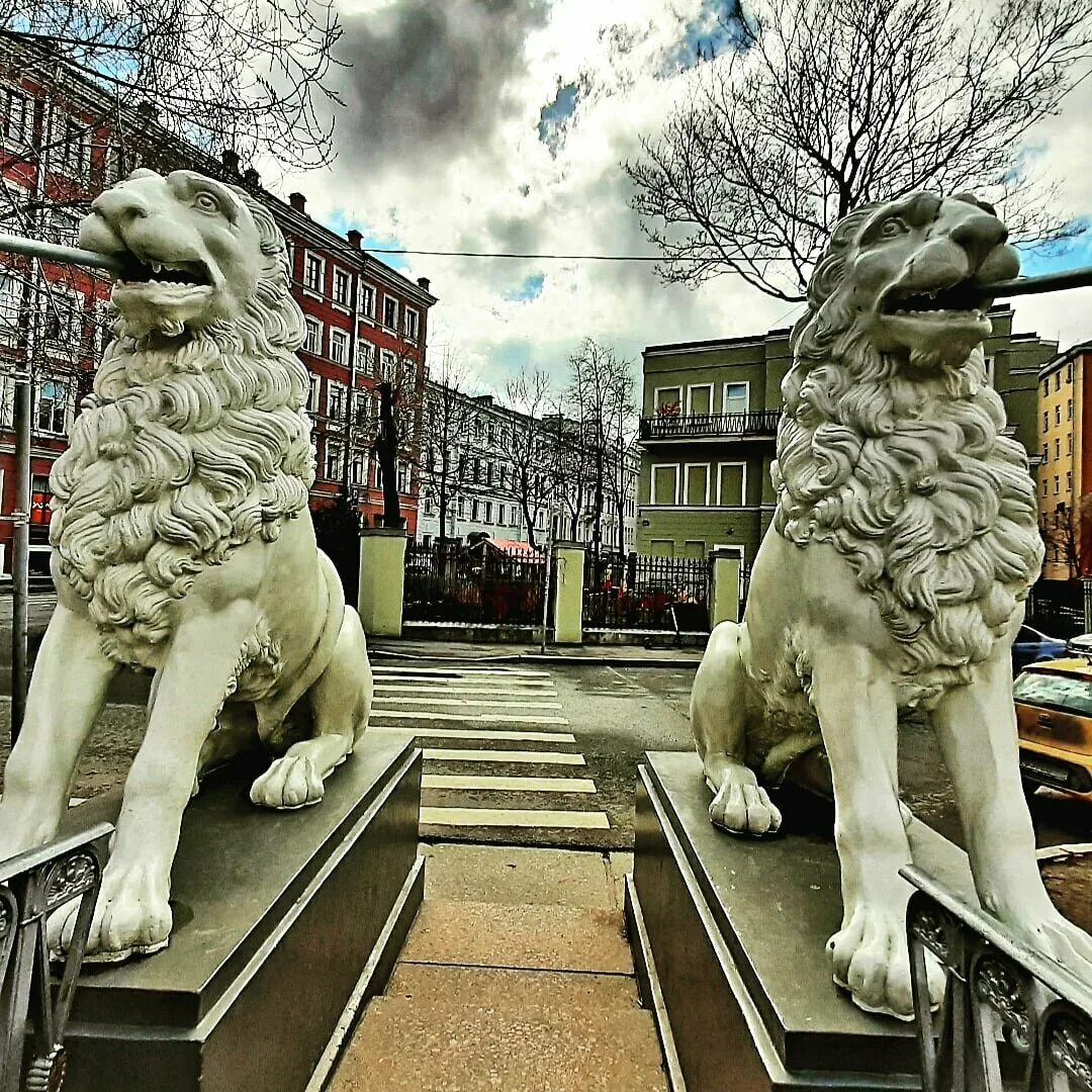 Львы на набережной в санкт петербурге. Львы стерегут город питер экскурсия. Сторожевые львы на адмиралтейской набережной. Львы на набережной в санкт петербурге. Львы санкт-петербурга на набережной невы.