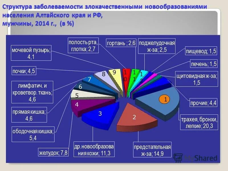 структура населения алтайского края. население алтайского края на 2022. структура населения алтайского края. миграция в алтайском крае. диаграмма населения алтайского края.