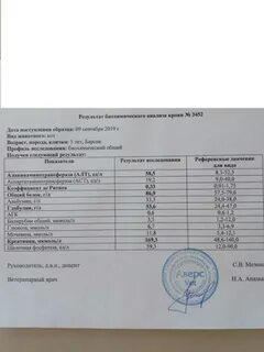 Анализы при камнях в почках какие сдать
