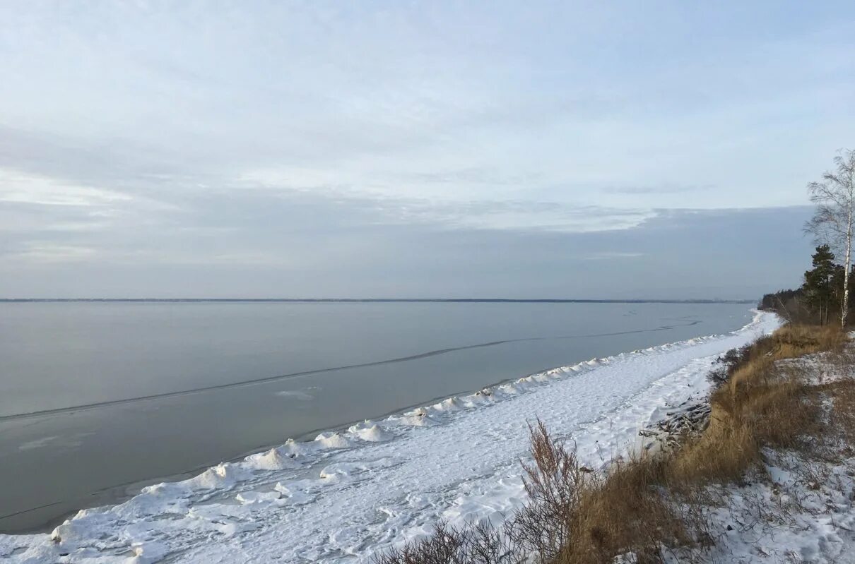 Пляж бугринский мост новосибирск. ,euhbycrfz hjof yjdjcb,. Загрязненность воздуха новосибирск. Бугринская роща новосибирск. Обское море плотина.