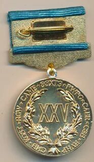 Значок 25